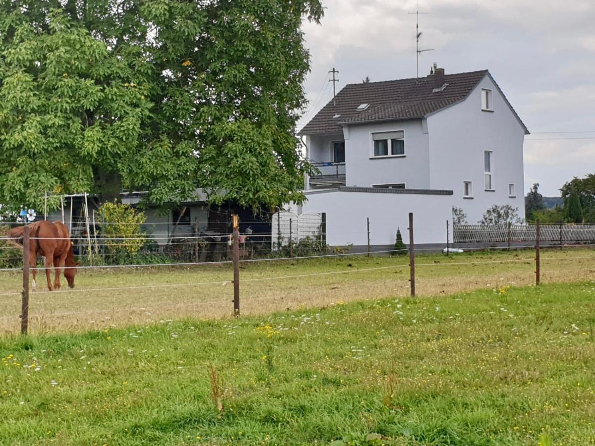 Haus Im Gruenen Villa Bornheim  Exterior foto